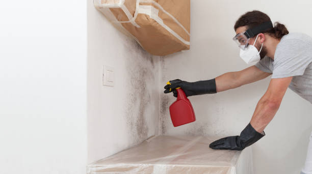 Professional Bathroom Mold Removal technician working in Liverpool, NY